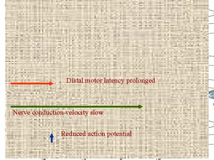 Distal motor latency prolonged Nerve conduction velocity slow Reduced action potential 