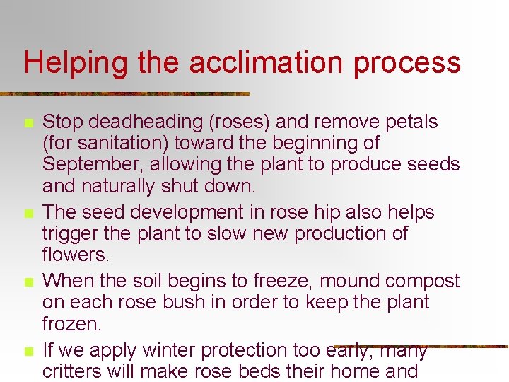 Helping the acclimation process n n Stop deadheading (roses) and remove petals (for sanitation) Helping the acclimation process n n Stop deadheading (roses) and remove petals (for sanitation)