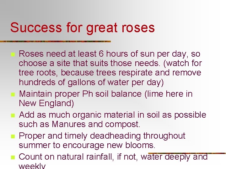 Success for great roses n n n Roses need at least 6 hours of Success for great roses n n n Roses need at least 6 hours of