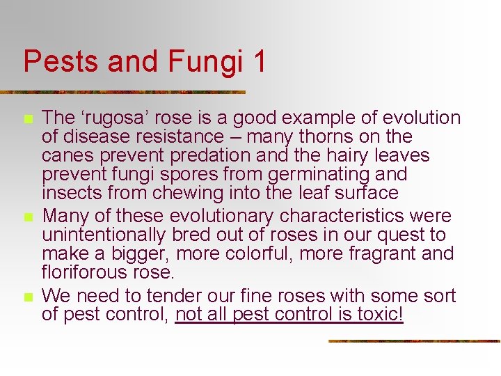 Pests and Fungi 1 n n n The ‘rugosa’ rose is a good example Pests and Fungi 1 n n n The ‘rugosa’ rose is a good example