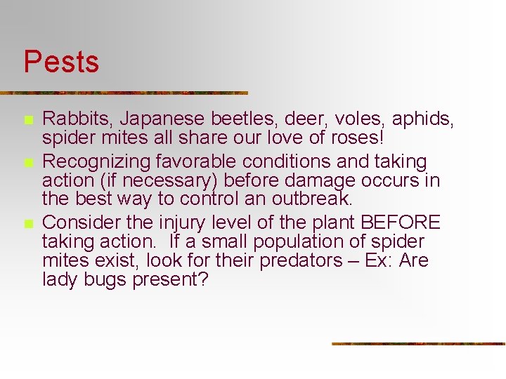 Pests n n n Rabbits, Japanese beetles, deer, voles, aphids, spider mites all share Pests n n n Rabbits, Japanese beetles, deer, voles, aphids, spider mites all share