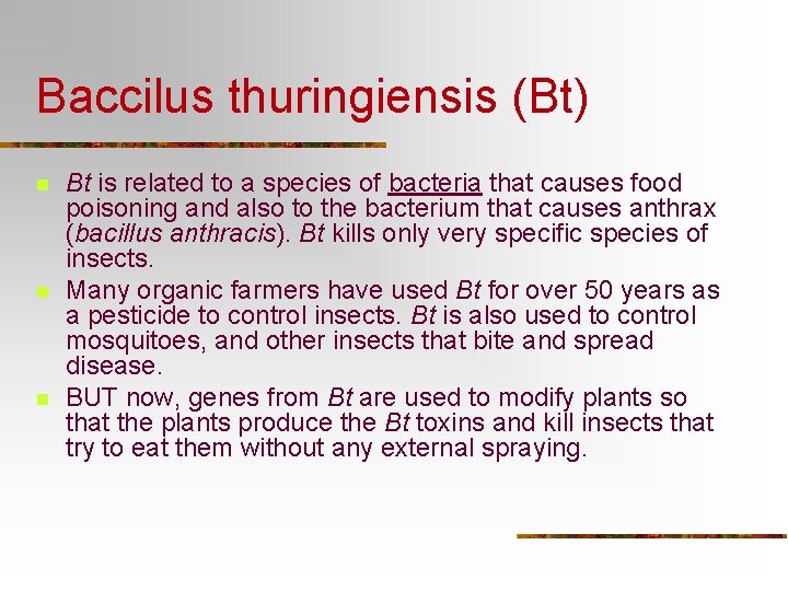 Baccilus thuringiensis (Bt) n n n Bt is related to a species of bacteria Baccilus thuringiensis (Bt) n n n Bt is related to a species of bacteria
