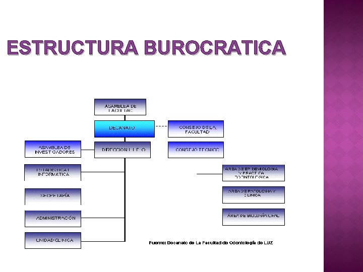 ESTRUCTURA BUROCRATICA 