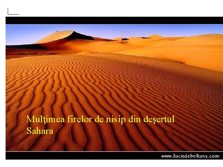 Mulţimea firelor de nisip din deşertul Sahara 