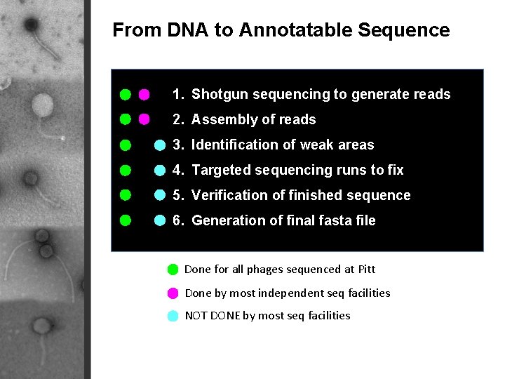 past present and future of dna sequencing