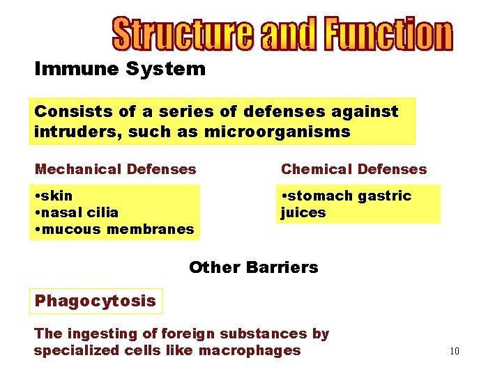 Immune System Consists of a series of defenses against intruders, such as microorganisms Mechanical