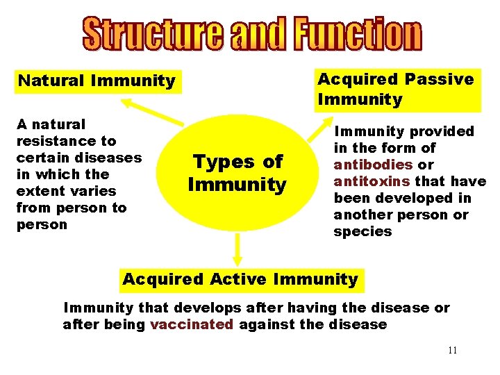 Types of Immunity Acquired Passive Natural Immunity A natural resistance to certain diseases in