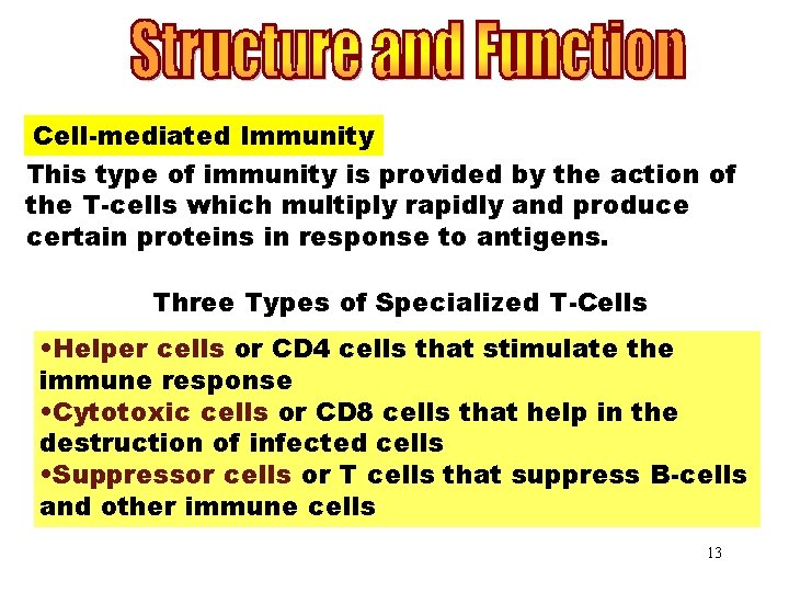 Cell-mediated Immunity This type of immunity is provided by the action of the T-cells