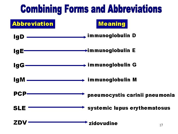 Combining Forms & Abbreviation Meaning Abbreviations (Ig. D) immunoglobulin D Ig. E immunoglobulin E