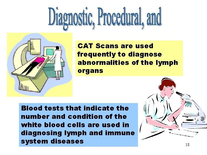 Diagnostic, Procedural & Laboratory Terms CAT Scans are used frequently to diagnose abnormalities of