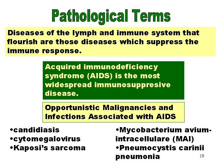 Pathological Terms Diseases of the lymph and immune system that flourish are those diseases