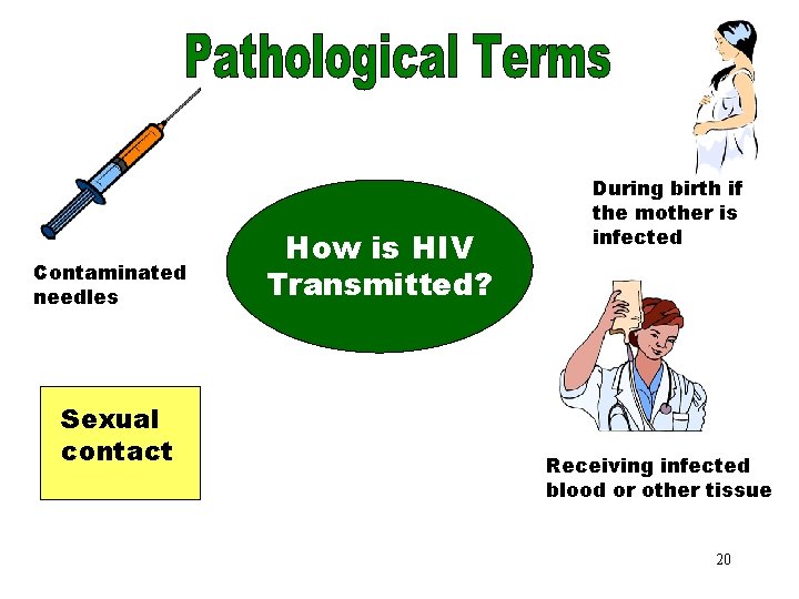 How is HIV Transmitted? Contaminated needles Sexual contact How is HIV Transmitted? During birth