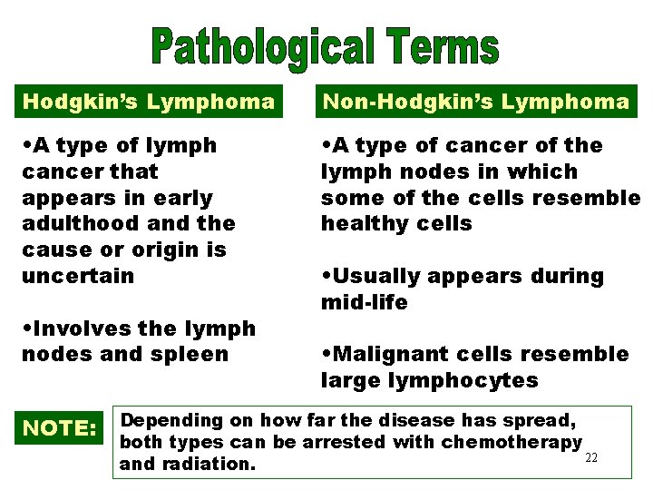 Pathological Terms Lymphoma Non-Hodgkin’s Lymphoma • A type of lymph cancer that appears in