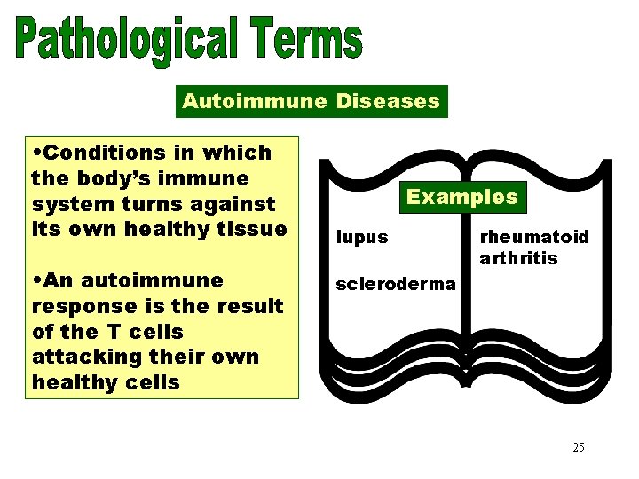 Autoimmune Diseases • Conditions in which the body’s immune system turns against its own