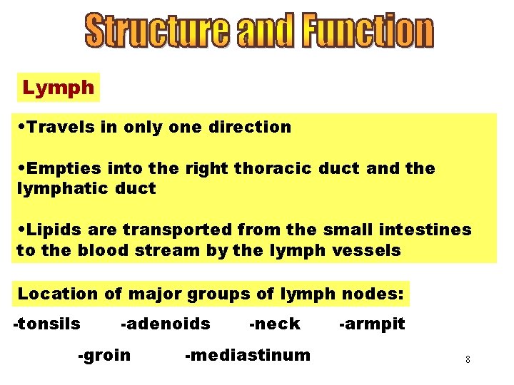 Lymph • Travels in only one direction • Empties into the right thoracic duct