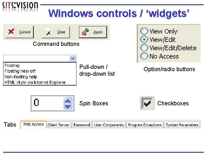 Windows controls / ‘widgets’ Command buttons Pull-down / drop-down list Spin Boxes Tabs Option/radio