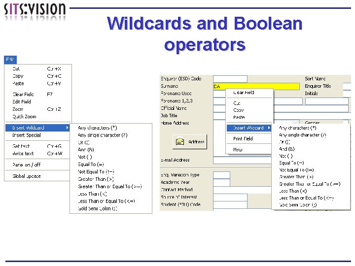 Wildcards and Boolean operators 