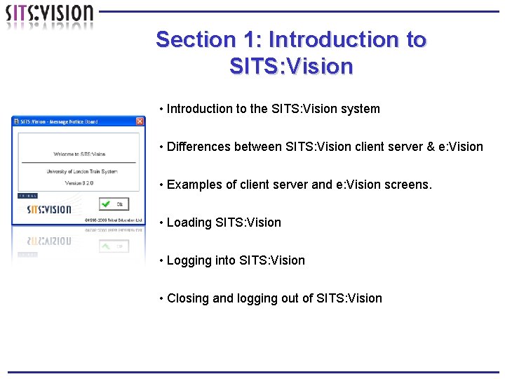 Section 1: Introduction to SITS: Vision • Introduction to the SITS: Vision system •