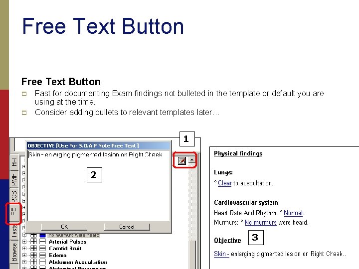 Free Text Button p p Fast for documenting Exam findings not bulleted in the