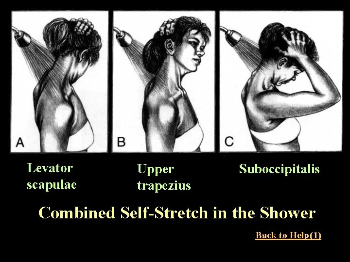 Levator scapulae Upper trapezius Suboccipitalis Combined Self-Stretch in the Shower Back to Help(1) 