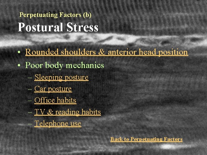 Perpetuating Factors (b) Postural Stress • Rounded shoulders & anterior head position • Poor