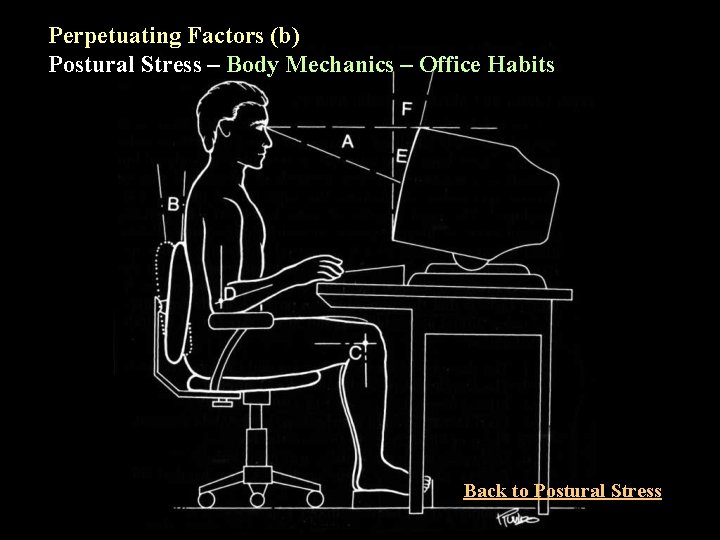 Perpetuating Factors (b) Postural Stress – Body Mechanics – Office Habits Back to Postural