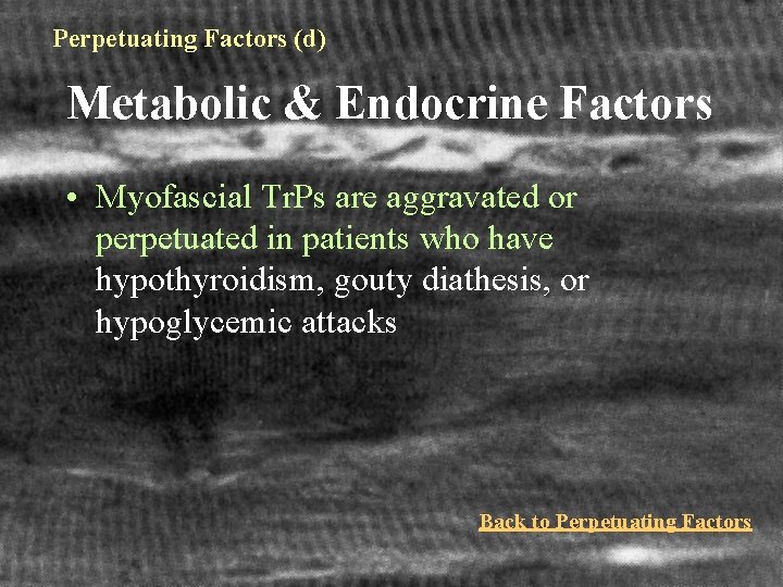 Perpetuating Factors (d) Metabolic & Endocrine Factors • Myofascial Tr. Ps are aggravated or