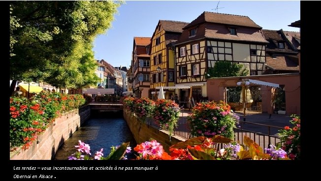 Les rendez – vous incontournables et activités à ne pas manquer à Obernai en