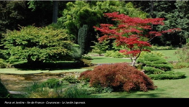 Parcs et Jardins - Ile-de-France - Courances - Le Jardin Japonais. 