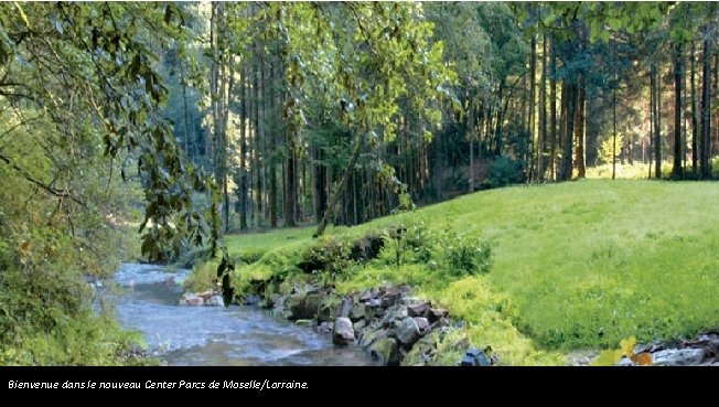 Bienvenue dans le nouveau Center Parcs de Moselle/Lorraine. 