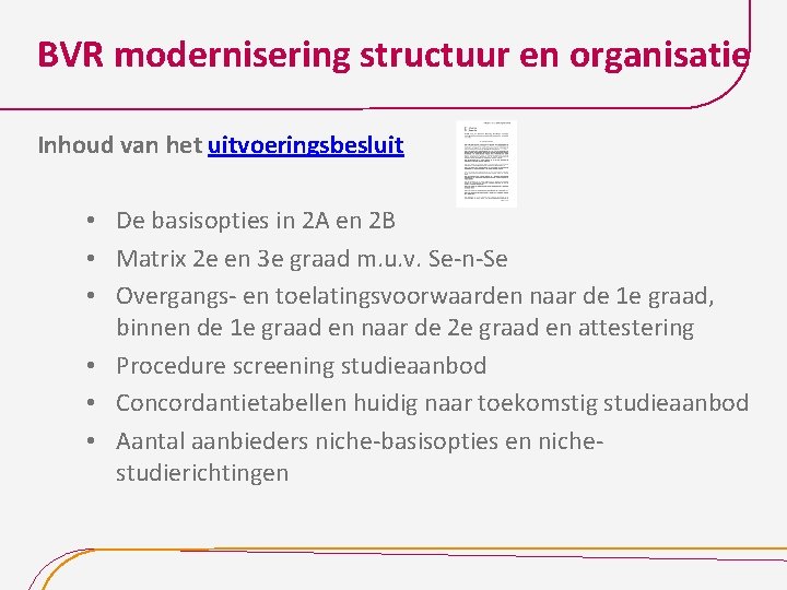 BVR modernisering structuur en organisatie Inhoud van het uitvoeringsbesluit • De basisopties in 2