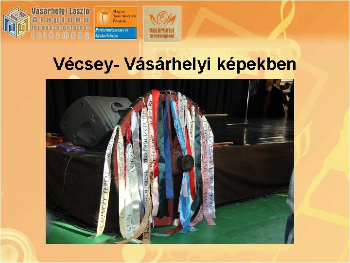 Vécsey- Vásárhelyi képekben 