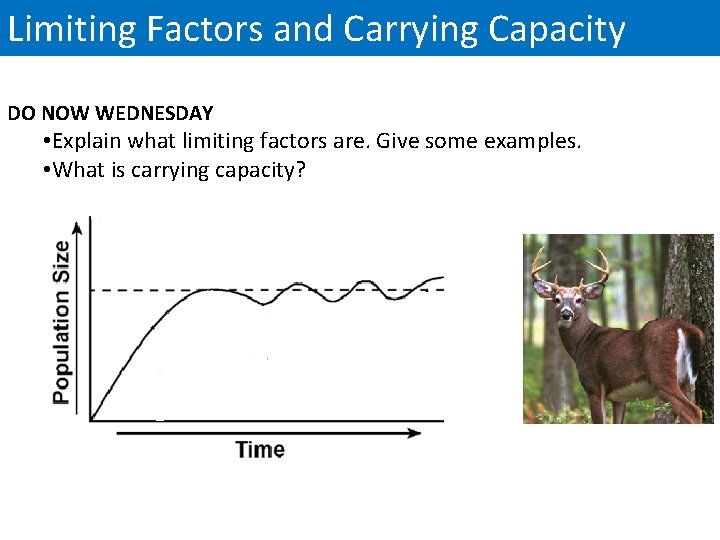 Limiting Factors and Carrying Capacity DO NOW WEDNESDAY • Explain what limiting factors are.