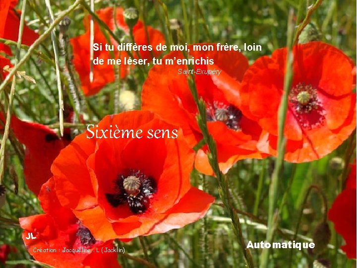 Si tu diffères de moi, mon frère, loin de me léser, tu m’enrichis Saint-Exupéry