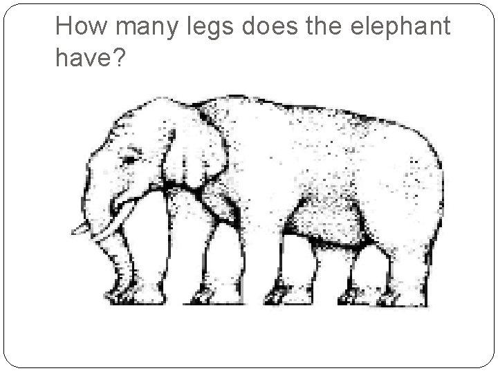 How many legs does the elephant have? 