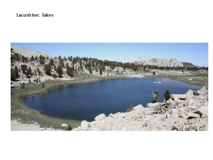 Lacustrine: lakes 