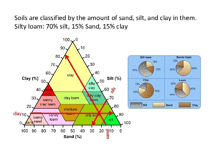silt Soils are classified by the amount of sand, silt, and clay in them.