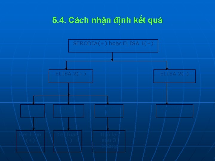 5. 4. Cách nhận định kết quả SERODIA(+) hoặc ELISA 1(+) ELISA 2(+) WB(+)