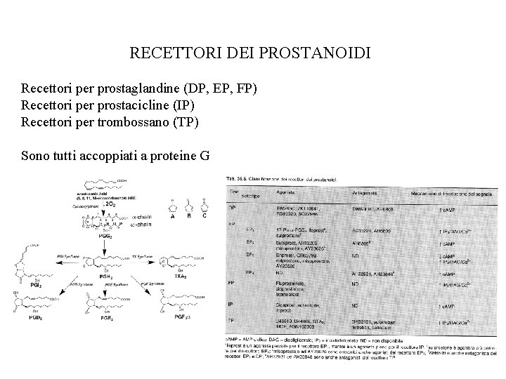 RECETTORI DEI PROSTANOIDI Recettori per prostaglandine (DP, EP, FP) Recettori per prostacicline (IP) Recettori