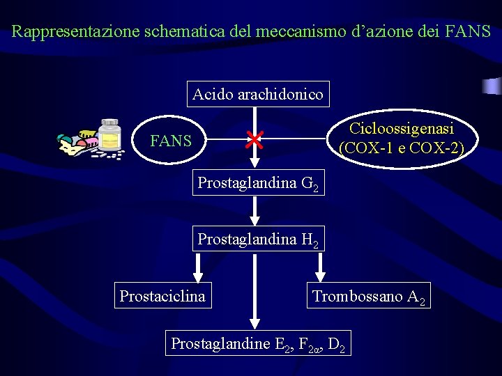 Rappresentazione schematica del meccanismo d’azione dei FANS Acido arachidonico x FANS Cicloossigenasi (COX-1 e