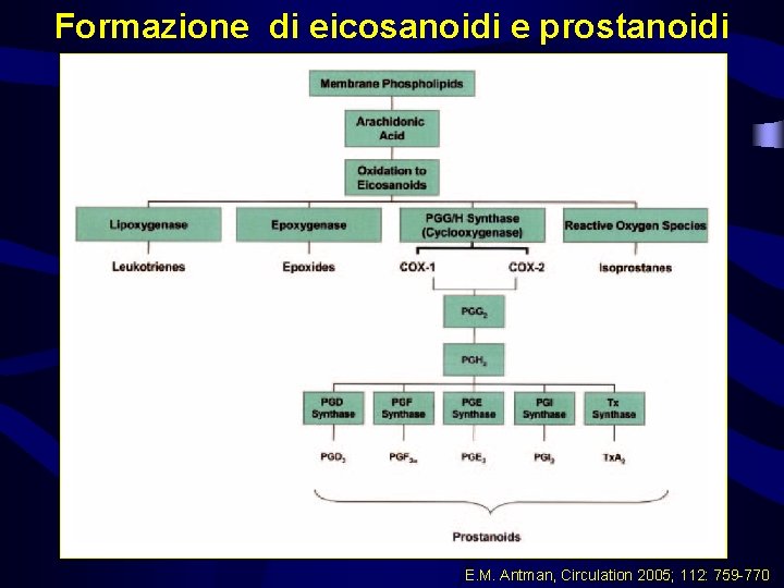 Formazione di eicosanoidi e prostanoidi E. M. Antman, Circulation 2005; 112: 759 -770 