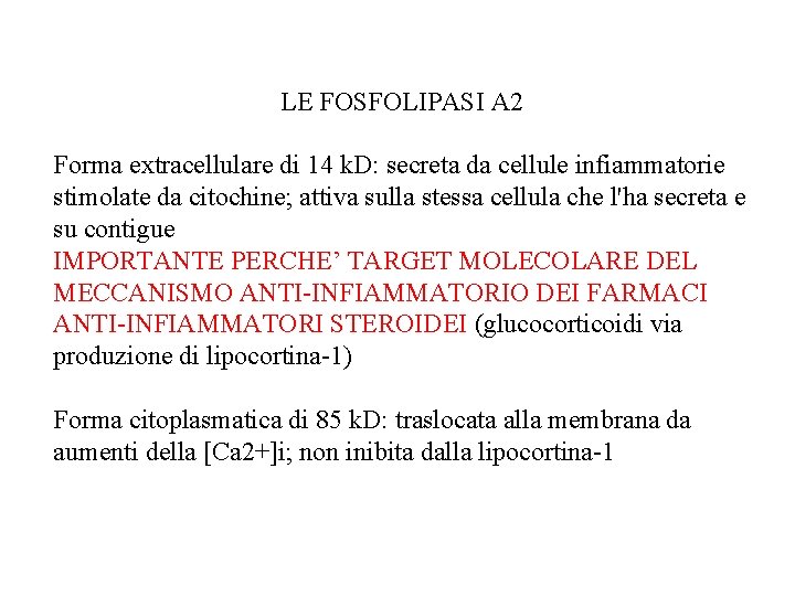 LE FOSFOLIPASI A 2 Forma extracellulare di 14 k. D: secreta da cellule infiammatorie