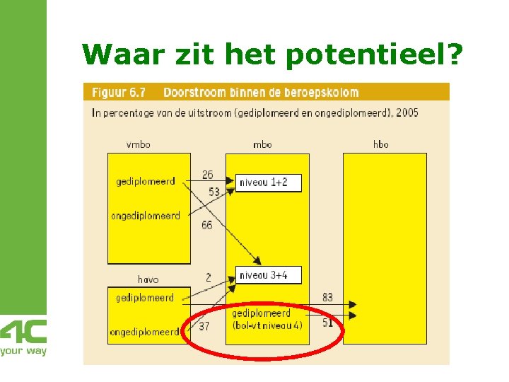 Waar zit het potentieel? Waar zit het potentieel?