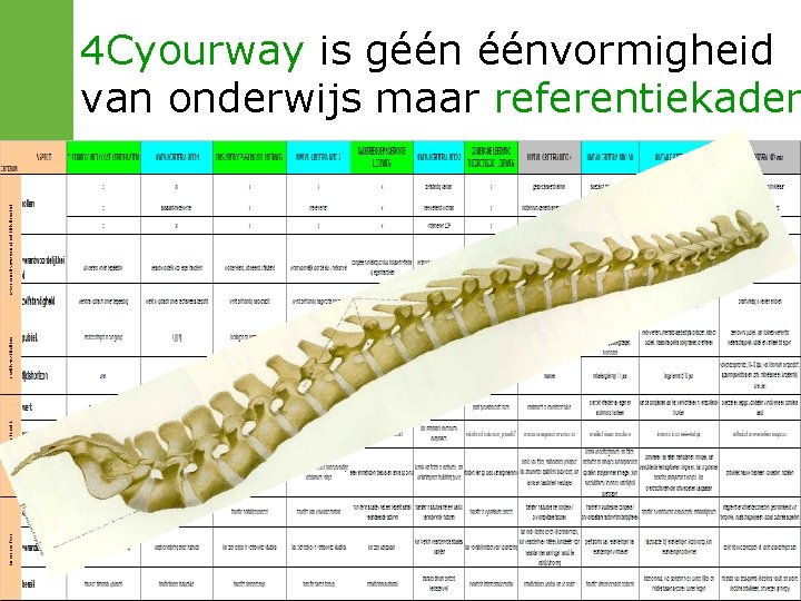 4 Cyourway is géén éénvormigheid van onderwijs maar referentiekader 4 Cyourway is géén éénvormigheid van onderwijs maar referentiekader