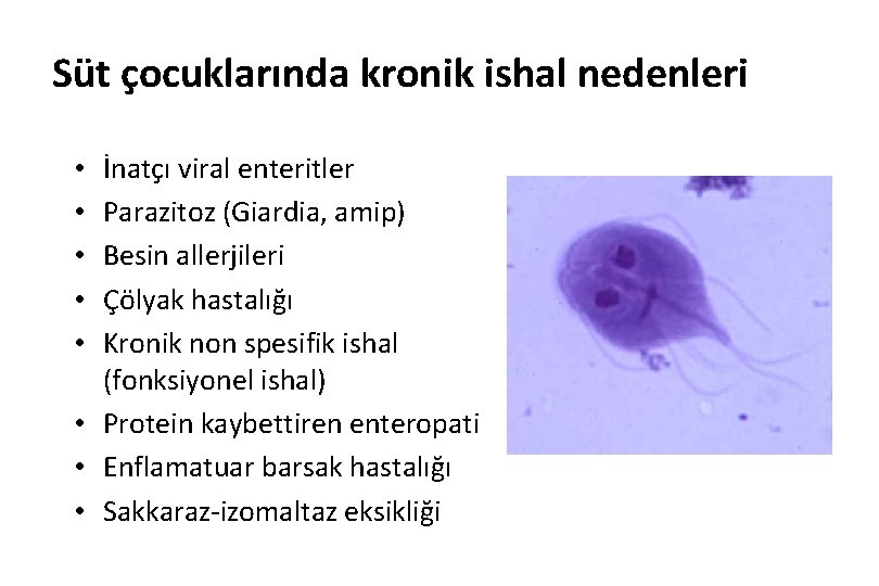 Süt çocuklarında kronik ishal nedenleri İnatçı viral enteritler Parazitoz (Giardia, amip) Besin allerjileri Çölyak