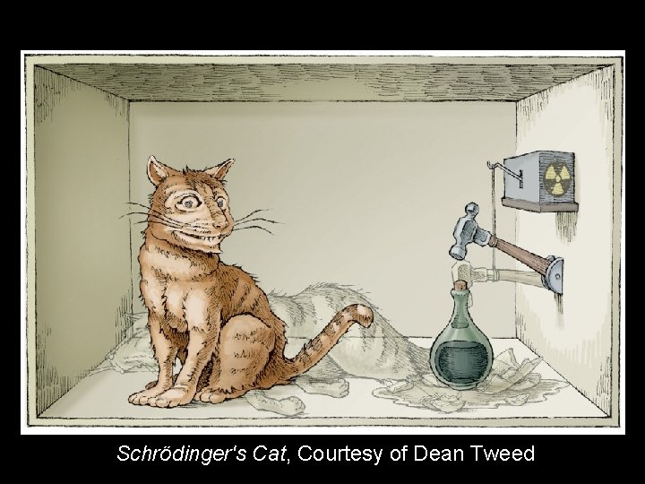 Schrödinger's Cat, Courtesy of Dean Tweed Schrödinger's Cat, Courtesy of Dean Tweed