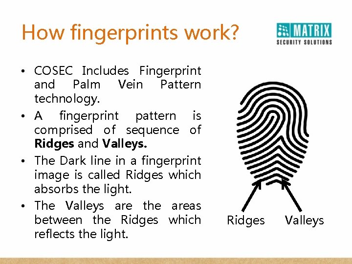 How fingerprints work? • COSEC Includes Fingerprint and Palm Vein Pattern technology. • A