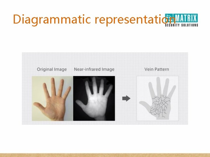 Diagrammatic representation 
