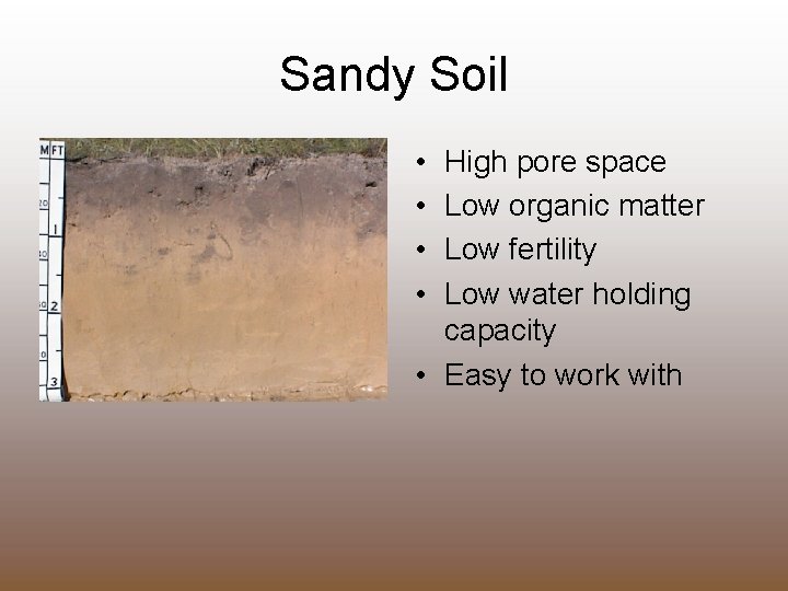Sandy Soil • • High pore space Low organic matter Low fertility Low water