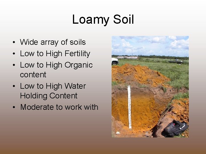 Loamy Soil • Wide array of soils • Low to High Fertility • Low
